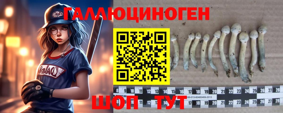 Галлюциногенные грибы GOLDEN TEACHER  Вход с VPN  купить наркотик  Саранск 